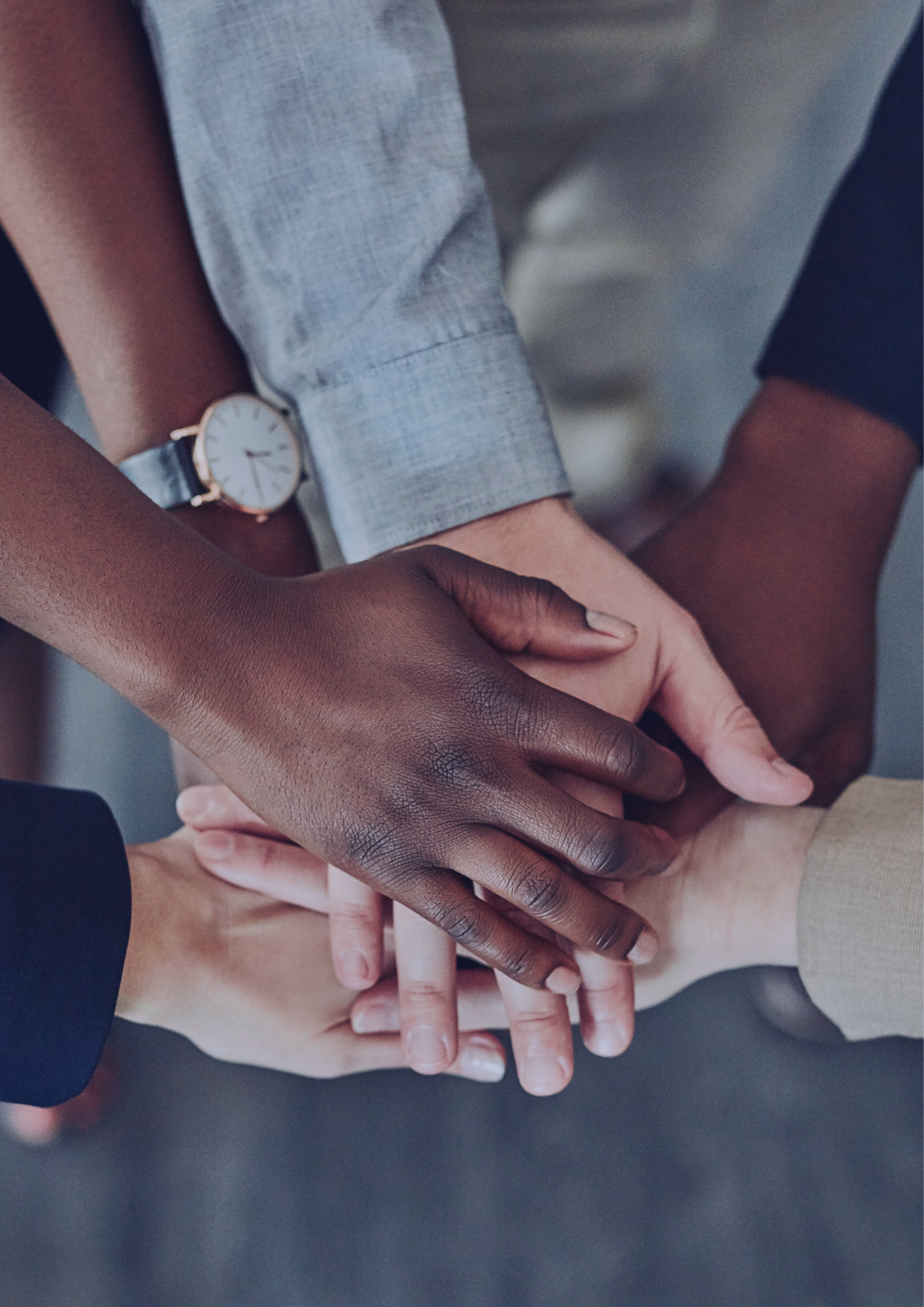 skills development facilitator